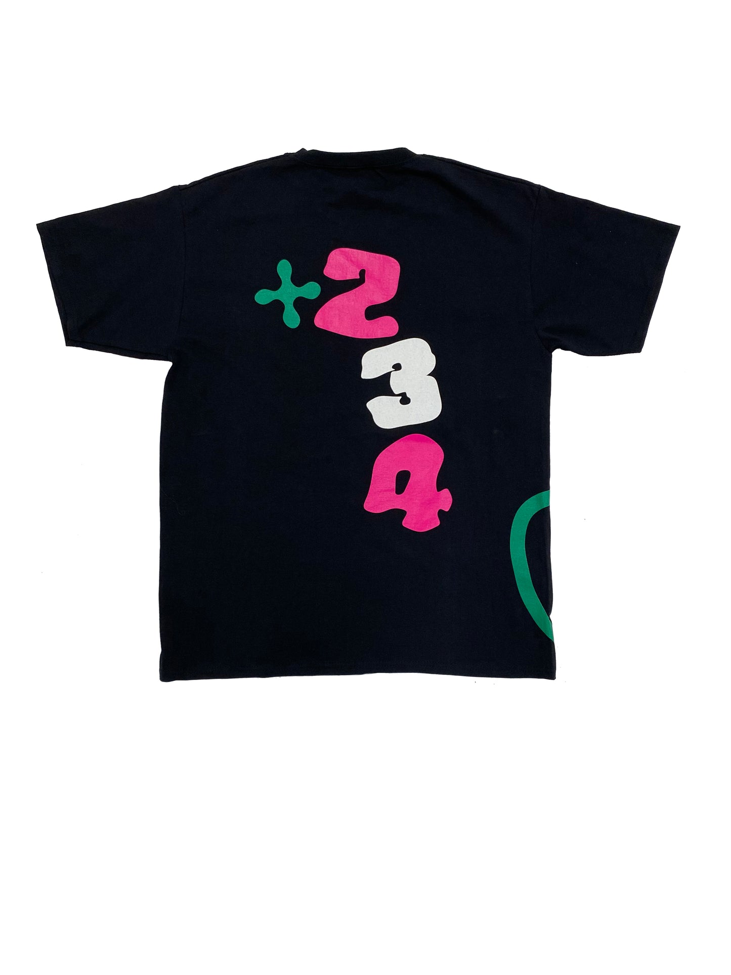 Homecoming Tee 2022 Black